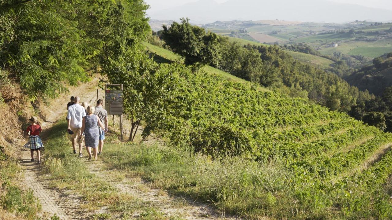 Relais Cocci Grifoni - Panoramic Wine Appartamento