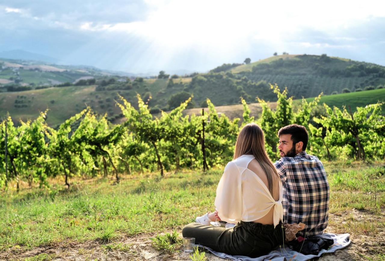 Appartamento Relais Cocci Grifoni - Panoramic Wine Offida