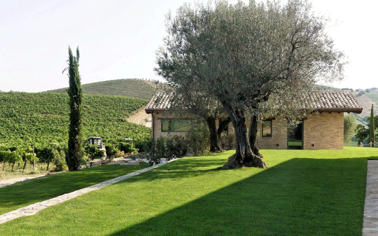Relais Cocci Grifoni - Panoramic Wine Appartamento Offida