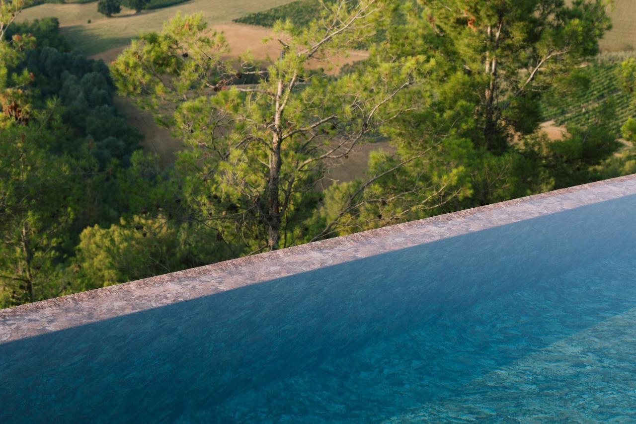 Relais Cocci Grifoni - Panoramic Wine *