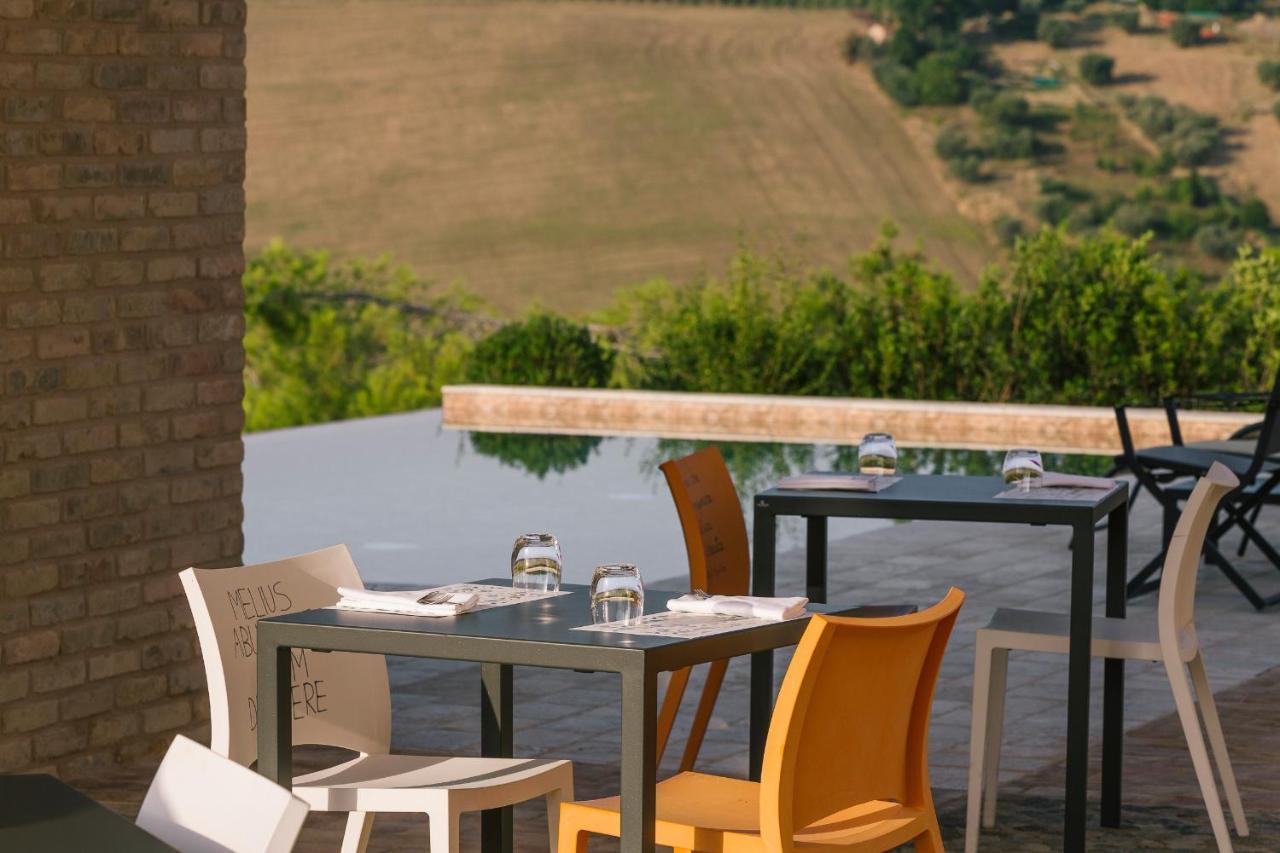 Relais Cocci Grifoni - Panoramic Wine Appartamento