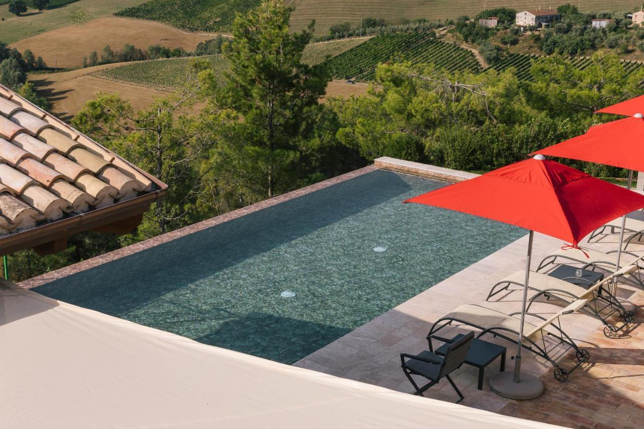 Relais Cocci Grifoni - Panoramic Wine *
