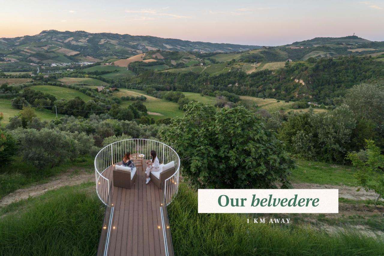 Relais Cocci Grifoni - Panoramic Wine