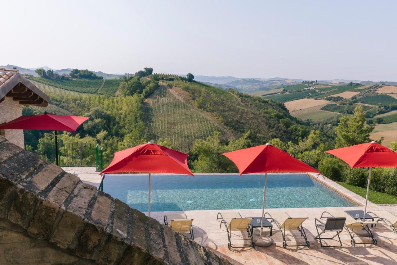 Relais Cocci Grifoni - Panoramic Wine * Offida