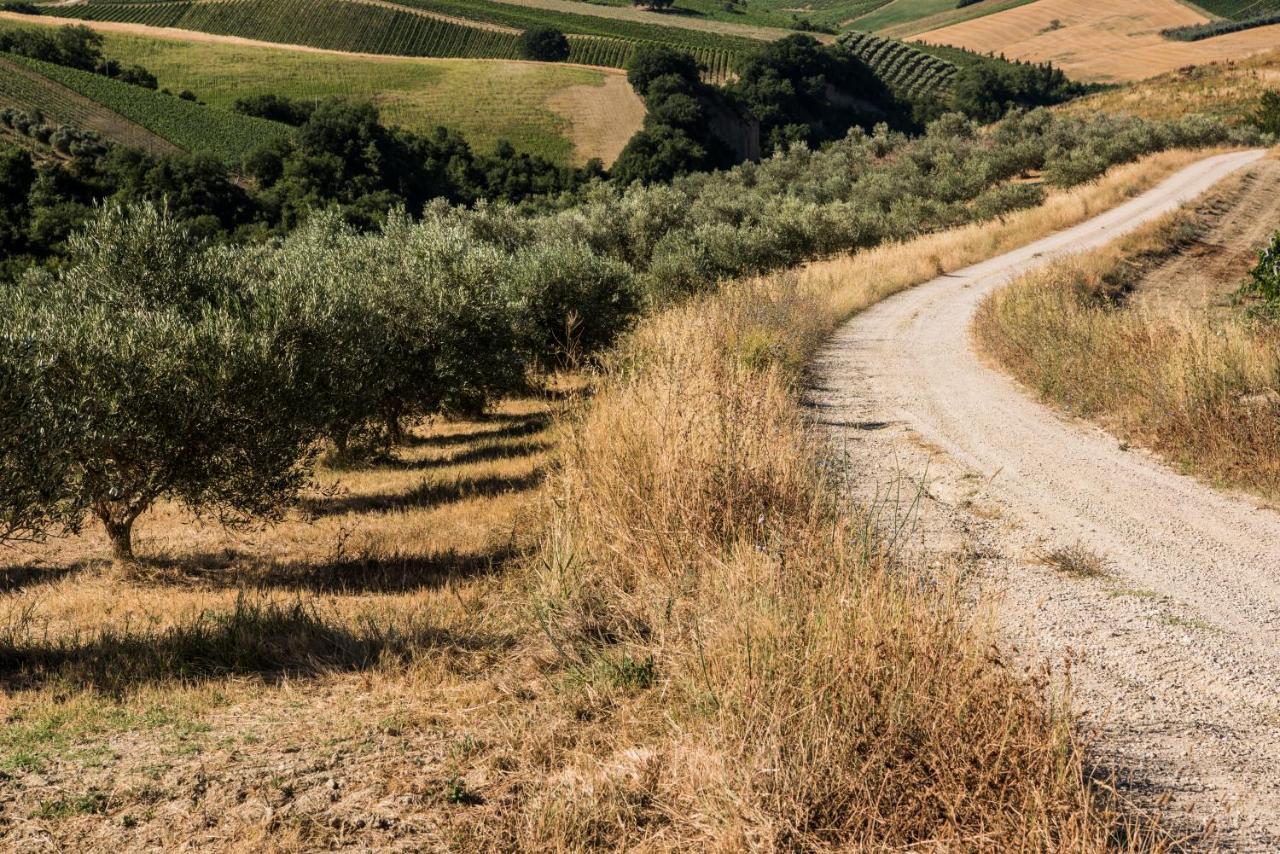 Relais Cocci Grifoni - Panoramic Wine Appartamento Offida