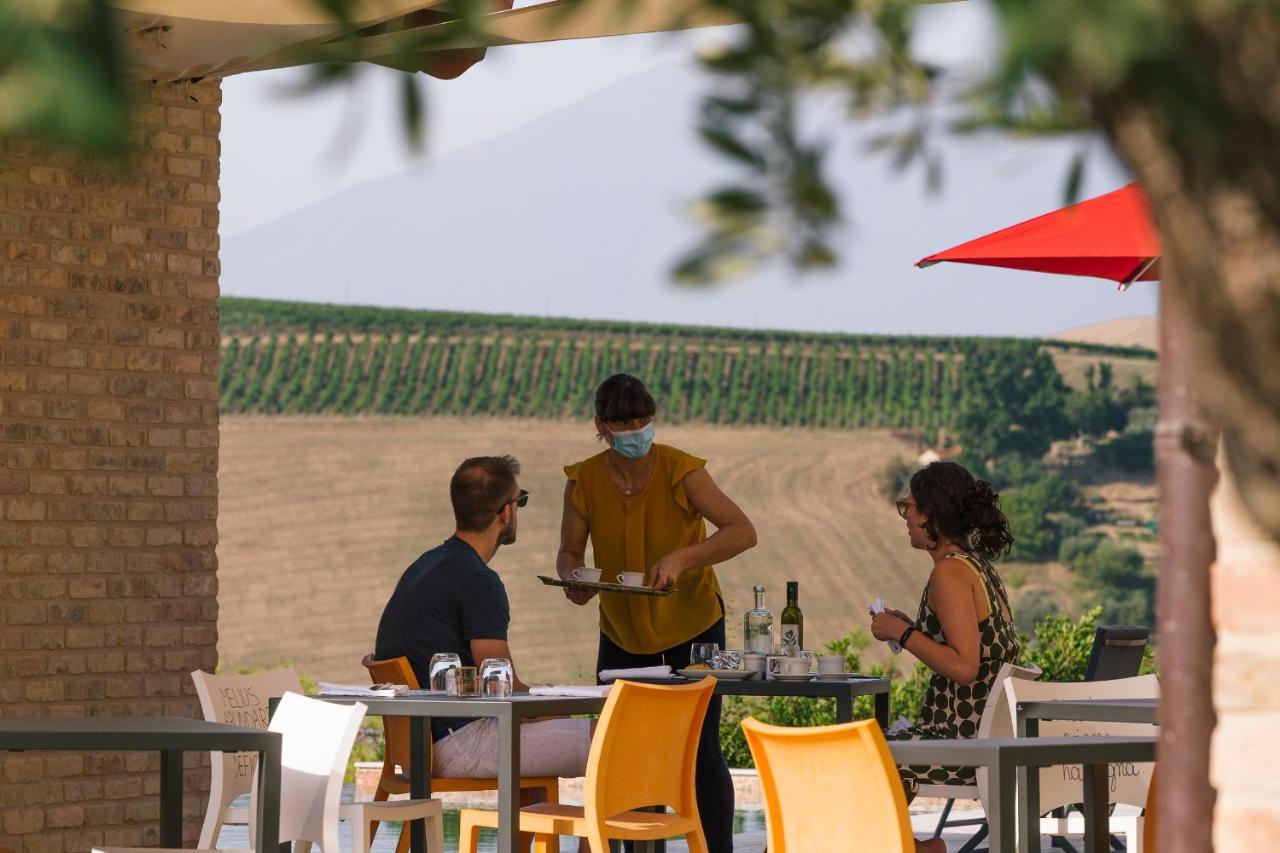 Appartamento Relais Cocci Grifoni - Panoramic Wine *