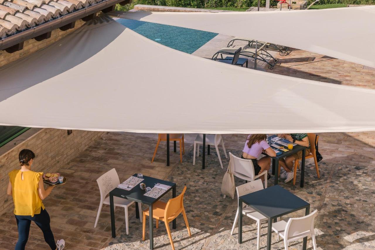 Relais Cocci Grifoni - Panoramic Wine