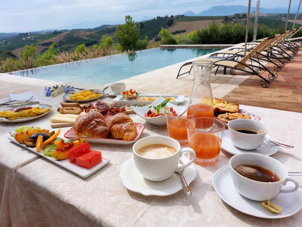 Relais Cocci Grifoni - Panoramic Wine