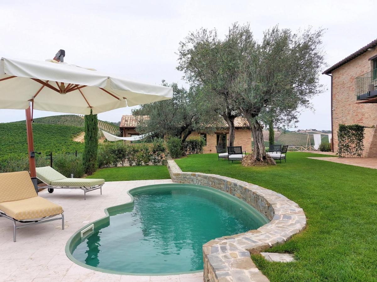 Appartamento Relais Cocci Grifoni - Panoramic Wine Offida